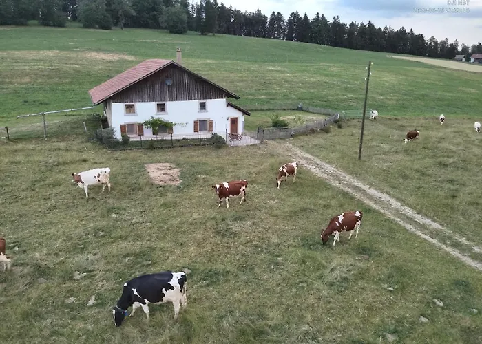 La Ferme De La Gaby